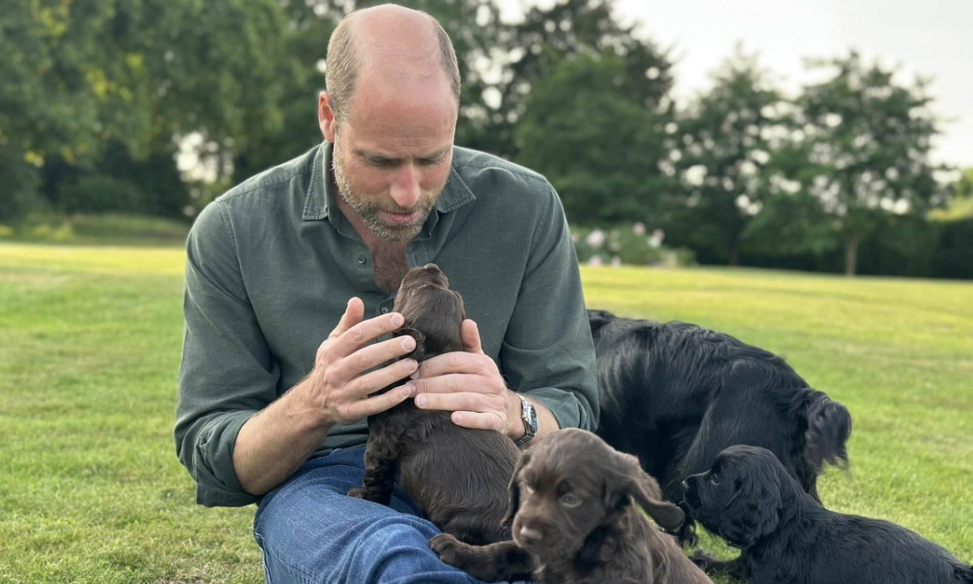 Animal rights group that attacked William and Kate for their dog's ...