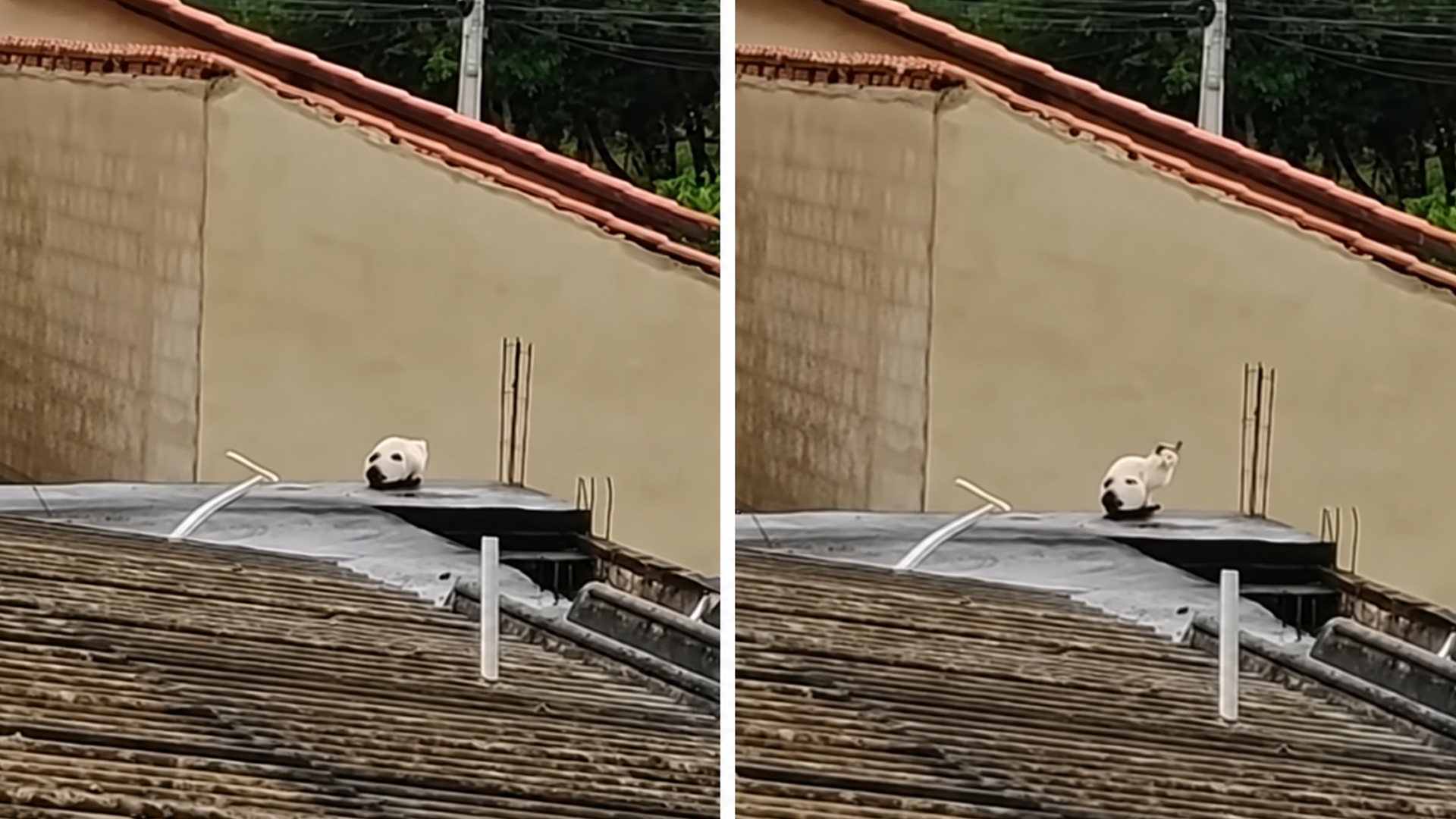 Visual illusions with impressive attention to detail