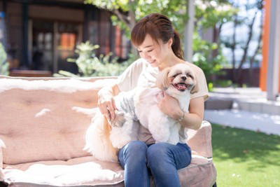 犬が『体をしきりに掻く』4つの理由 痒がってしまう原因や対処法まで解説