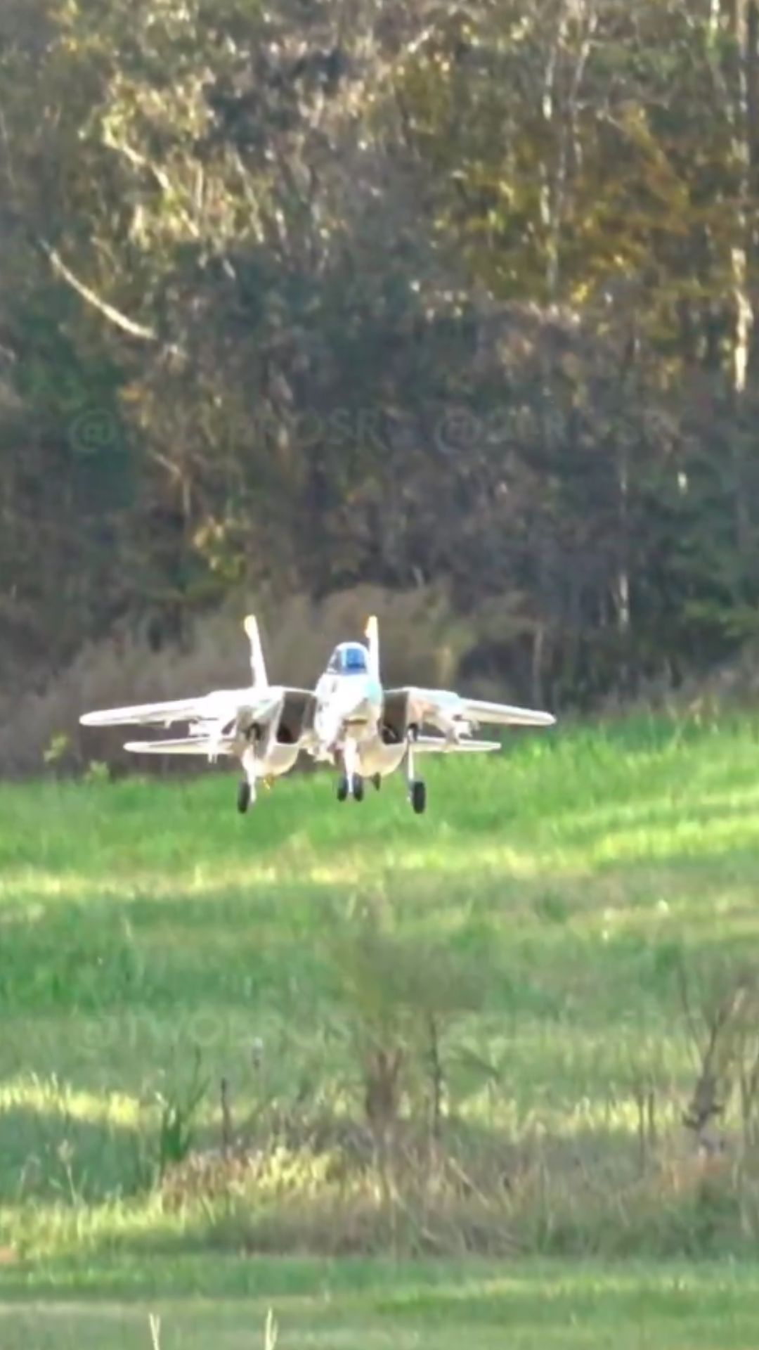 F-14A Tomcat RC jet nails a swept wing touch and go