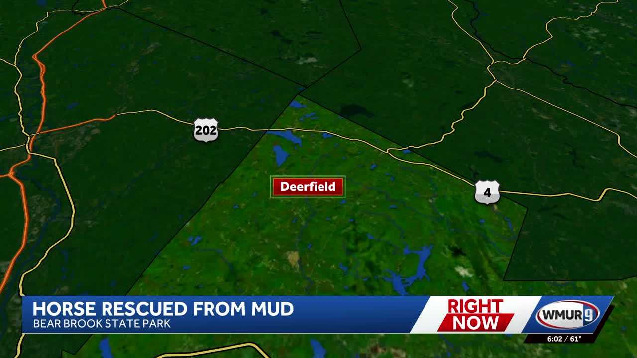 Horse rescued from deep mud in Deerfield, multiple agencies involved