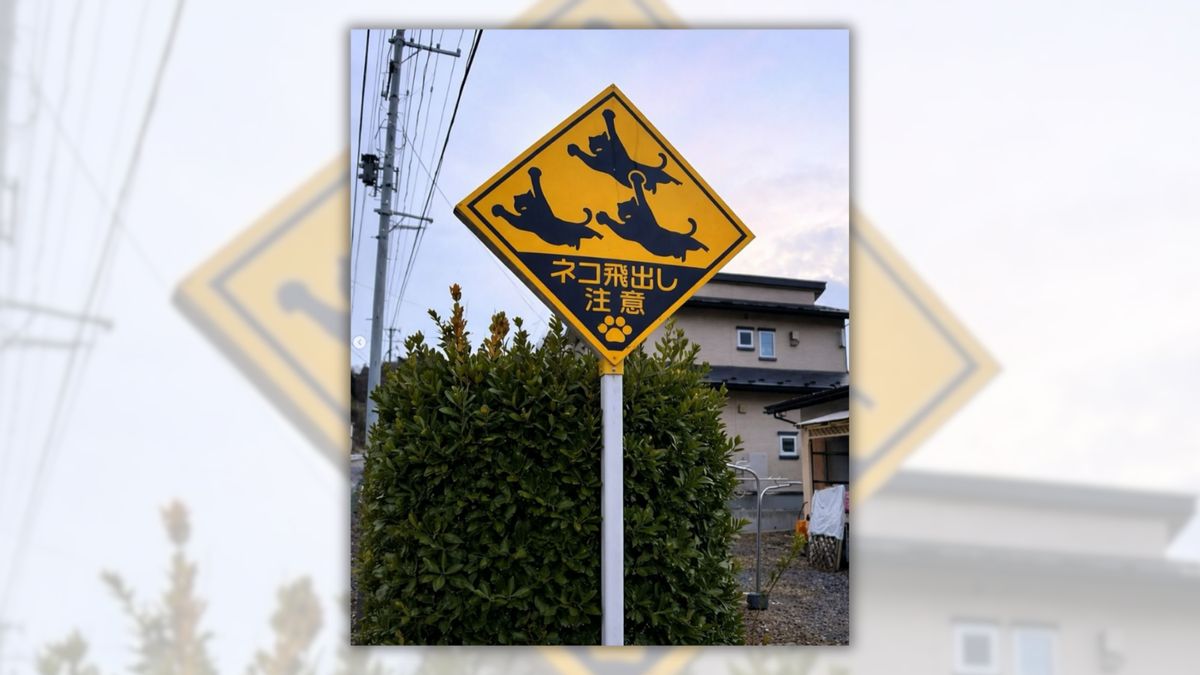 Are there road signs in Japan warning drivers that cats may jump out ...