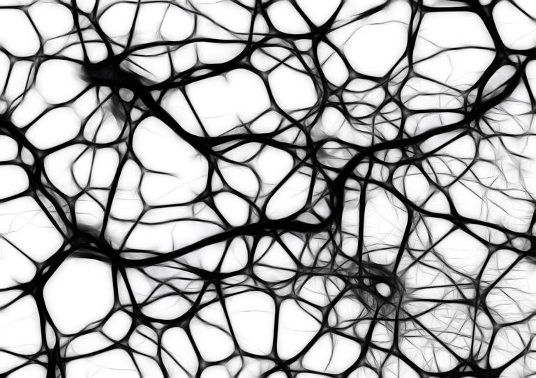 Brain tissue removed during surgery reveals potential way to curb ...