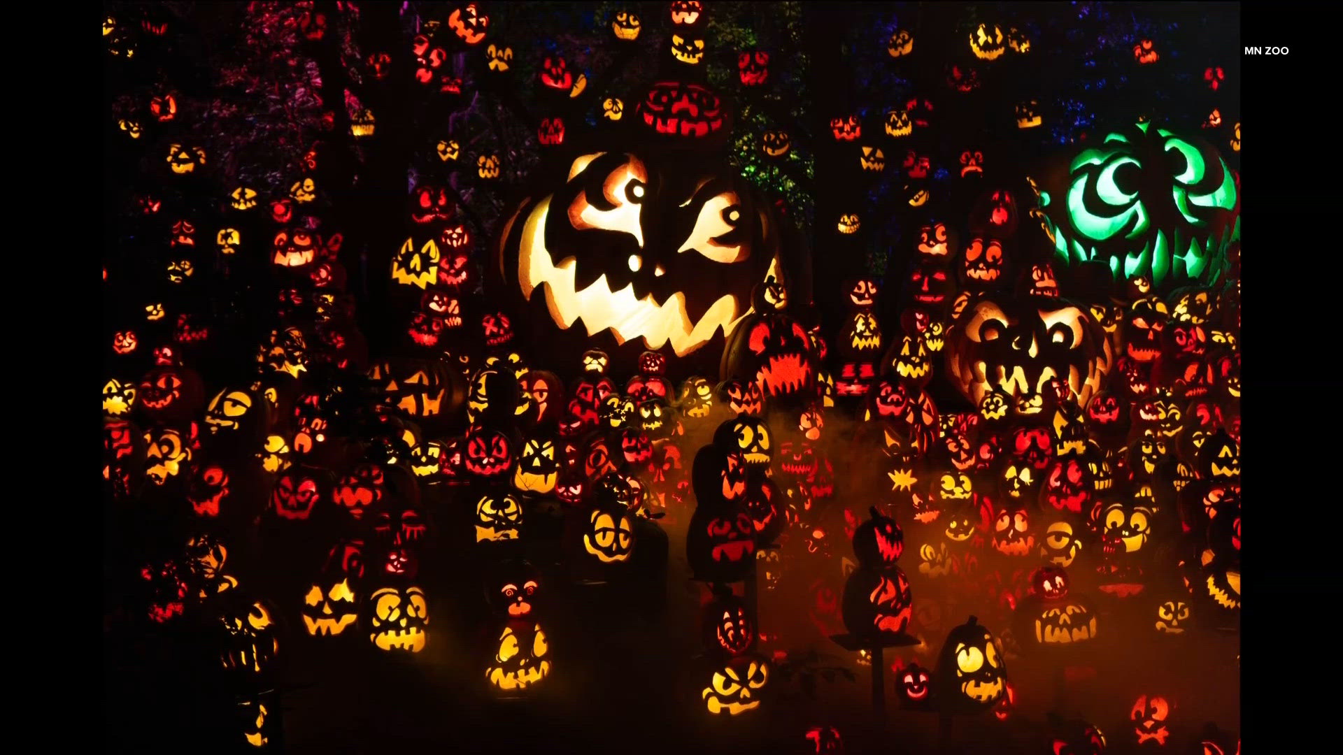 Jack-o'-lantern spectacular returns to Minnesota Zoo