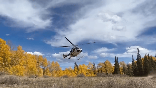 Hunter accidentally fired on, injured in Wasatch County