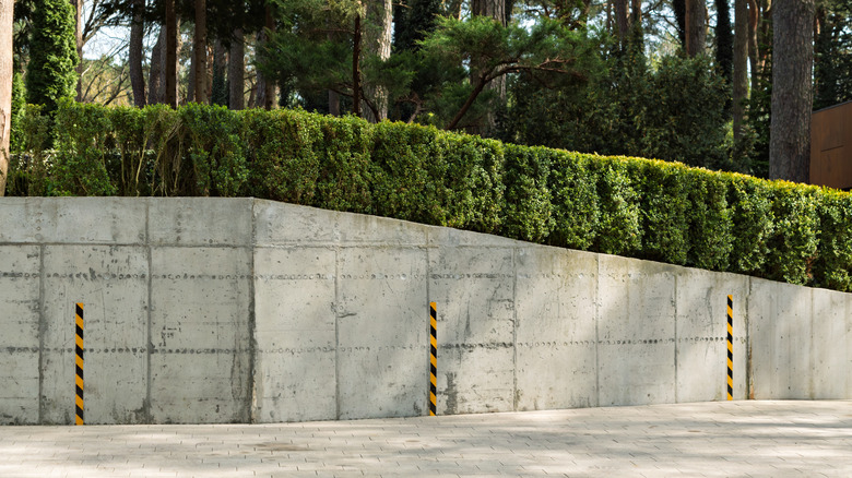 Not concrete or brick: The retaining wall idea to add visual interest ...