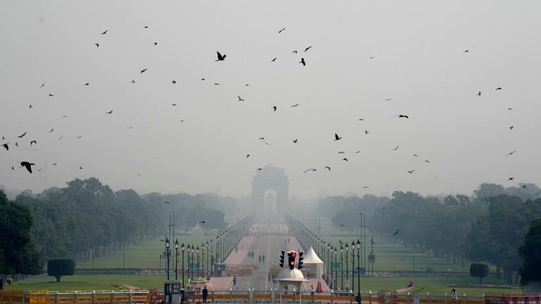 Delhi's smog season is coming. Will new anti-pollution rules make any ...