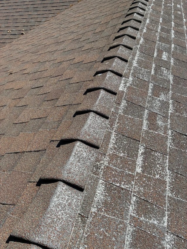 California homeowner gets $20,000 to $25,000 roof quotes, then learns ...