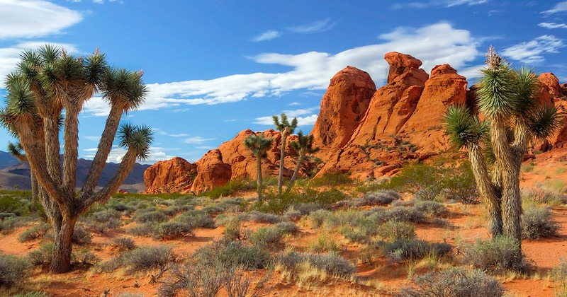 Public lands issues come to the fore as election nears