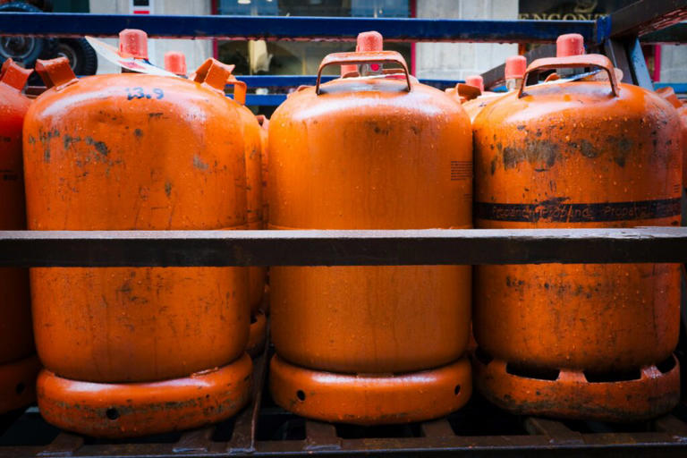 Behind the burner: How a new LPG training arm aims to standardize ...