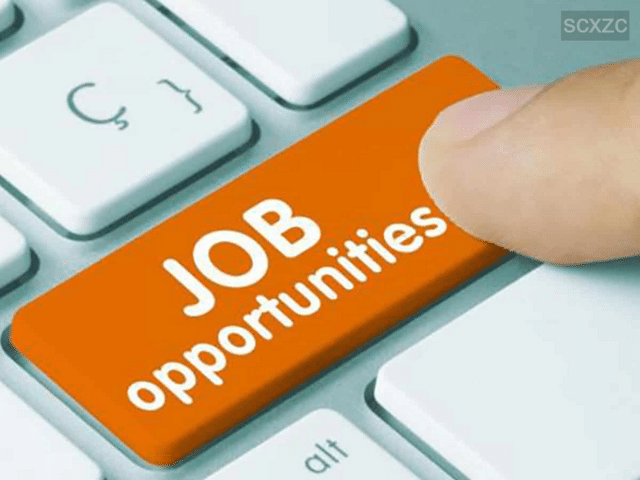 12,000+ government jobs: Deadline approaching for recruitment to these ...