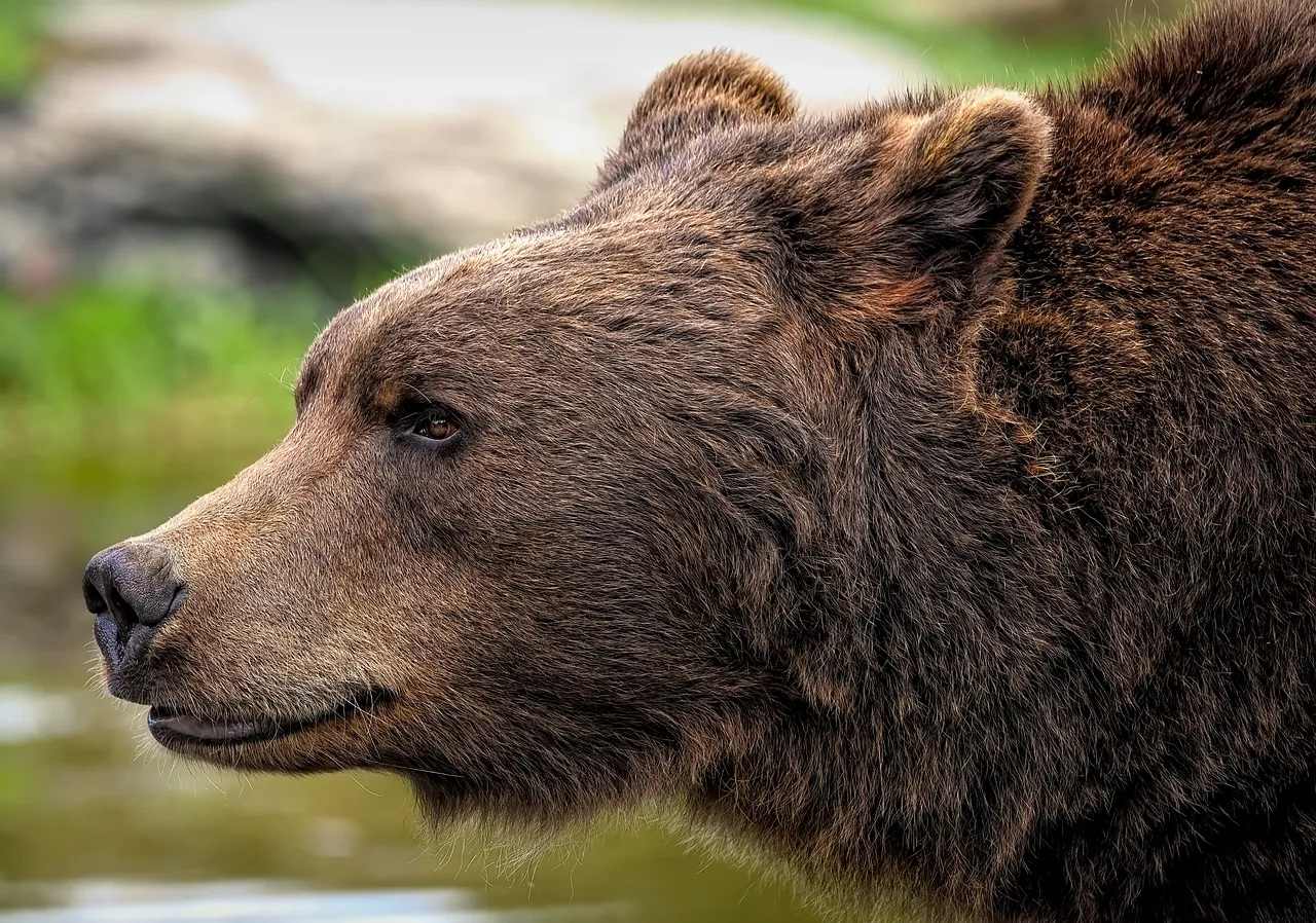 10 Alaska travel dangers that can surprise first-time visitors