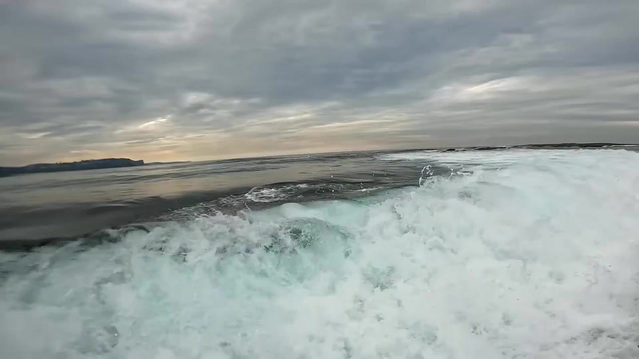 Duke and I scored endless barrels at a secret reef break