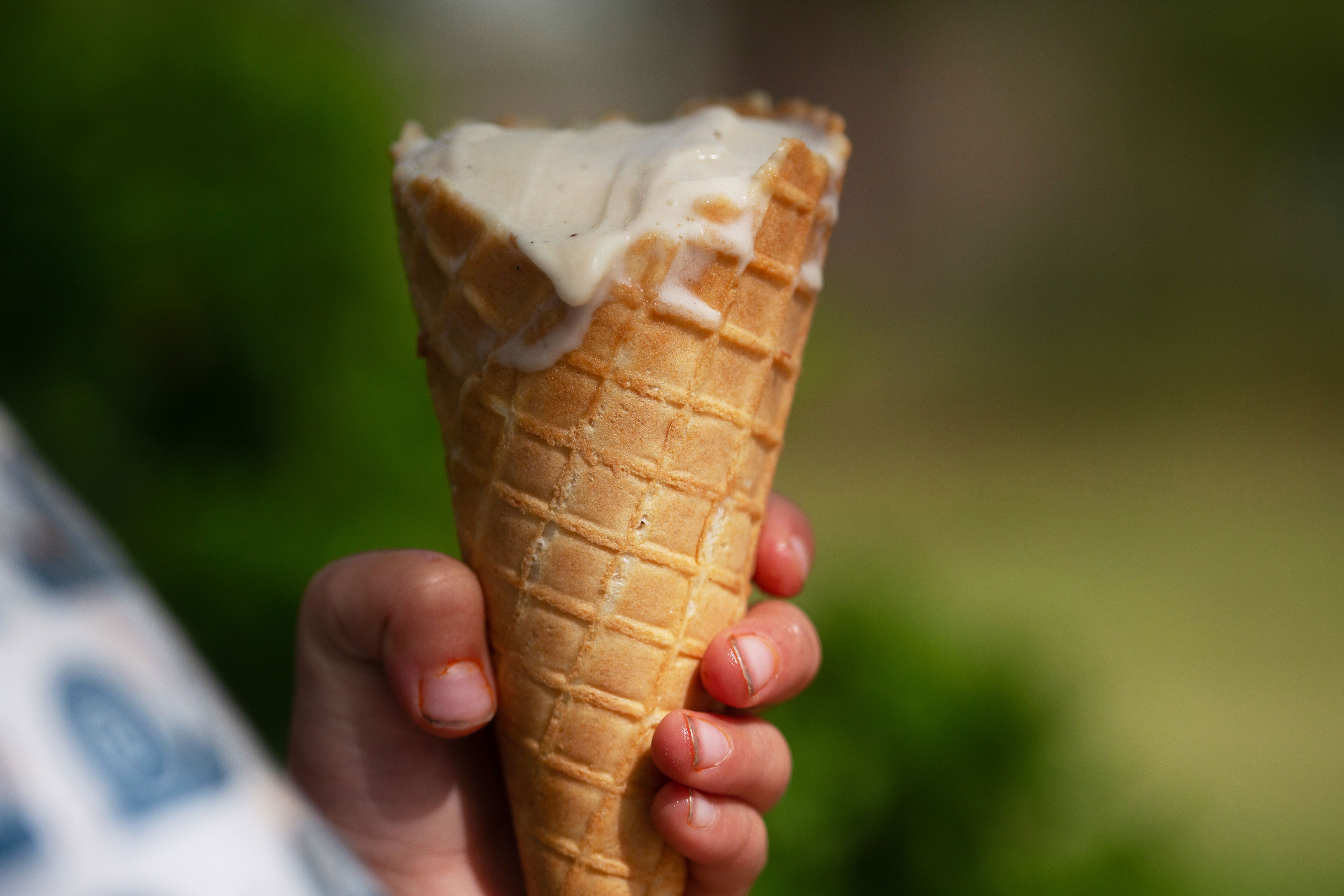 Sweet protein brazzein shows promise in reducing blood sugar spikes: study