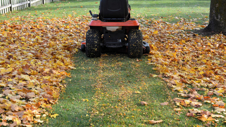 Should you set your lawn mower higher or lower in the fall?