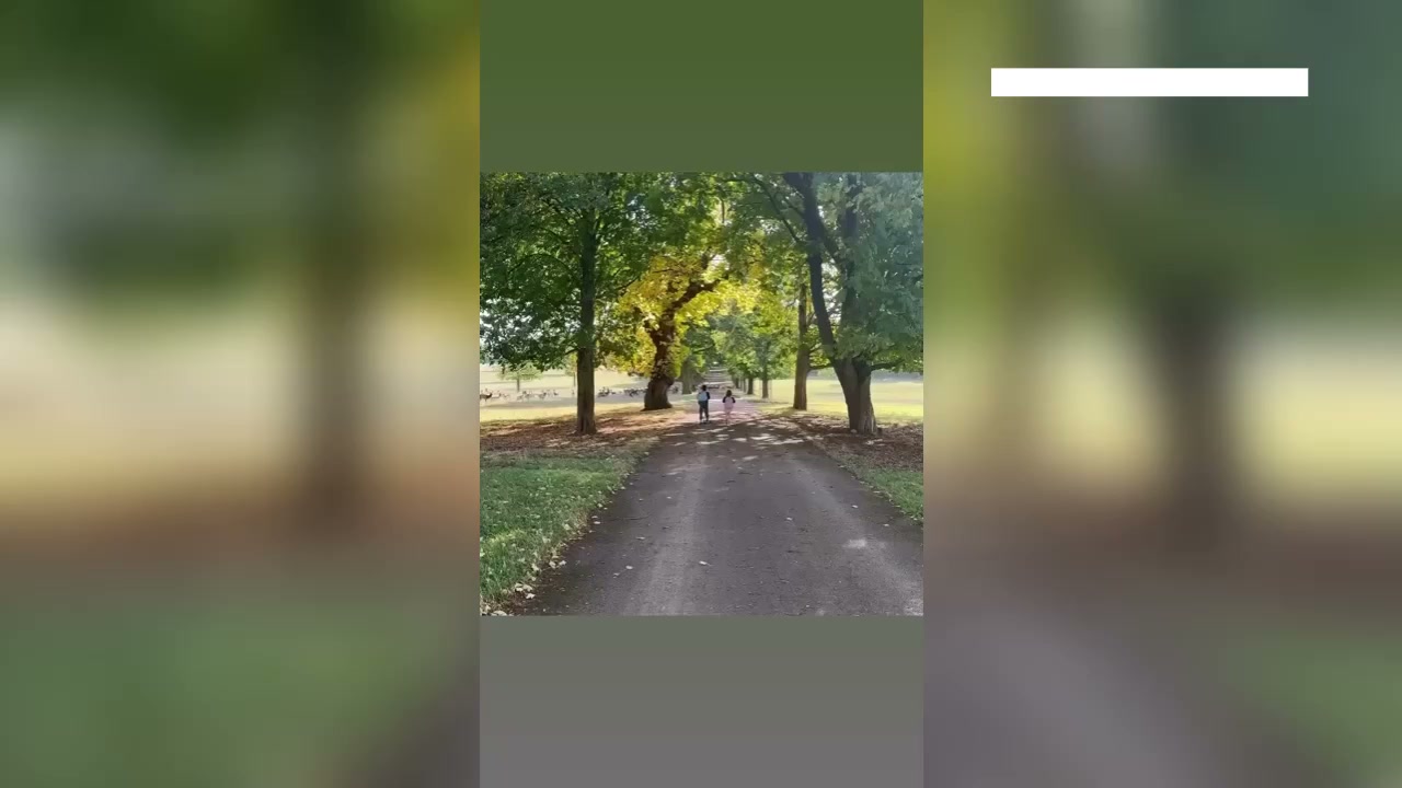 Meghan shares new video of Archie and Lilibet since UK return