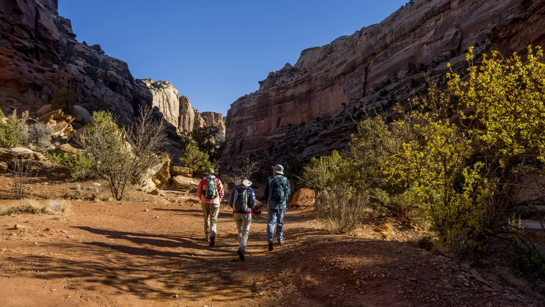 Essential safety tips for rugged trail hiking