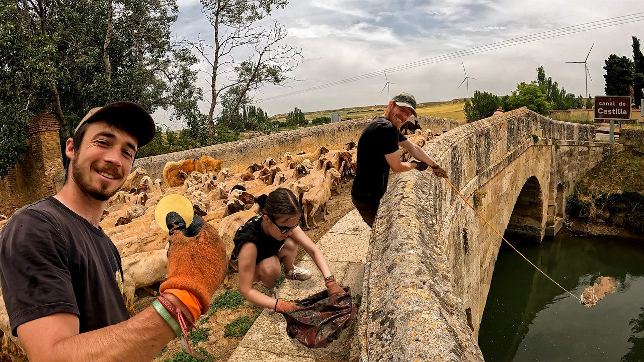 J’ai trouvé des trésors cachés dans le canal!