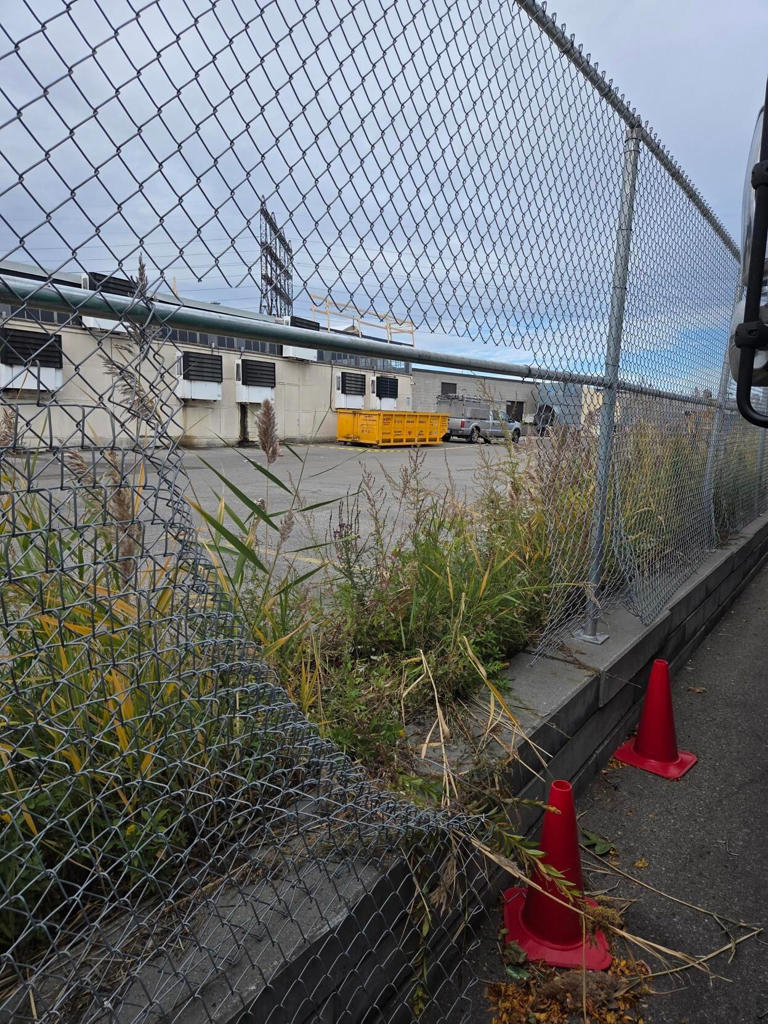 7 food charity trucks out of service after catalytic converters stolen ...