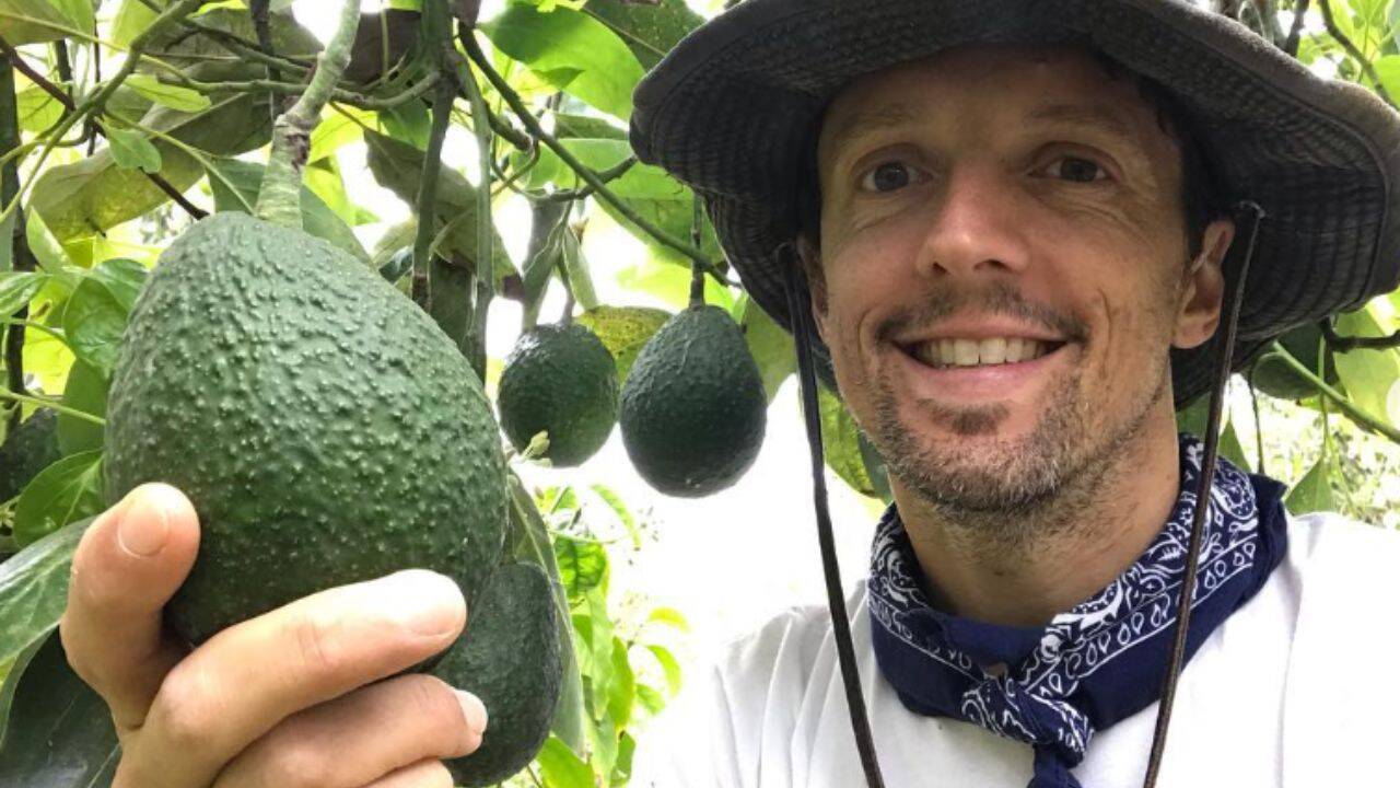 Jason Mraz transforms old San Diego avocado grove into a 17-acre ...
