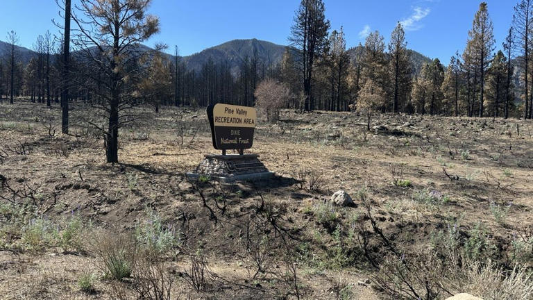 Flash flood warning issued for Forsyth fire burn scar in Washington County