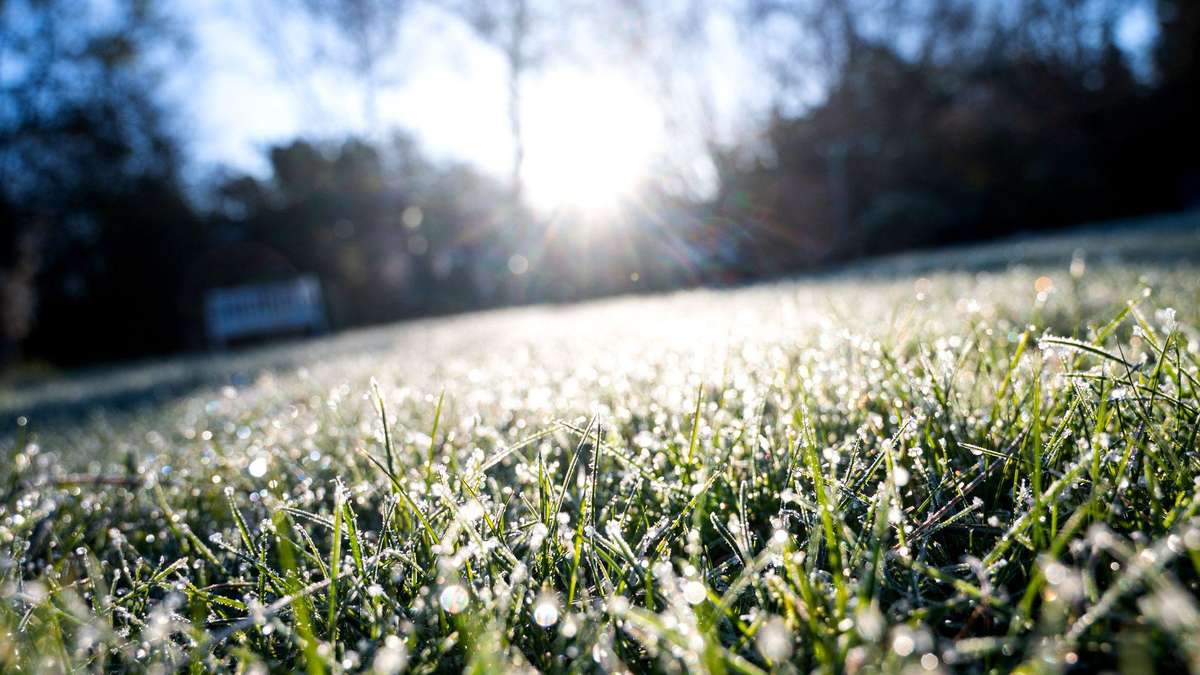 Nachts droht in den nächsten Tagen Bodenfrost in Hessen