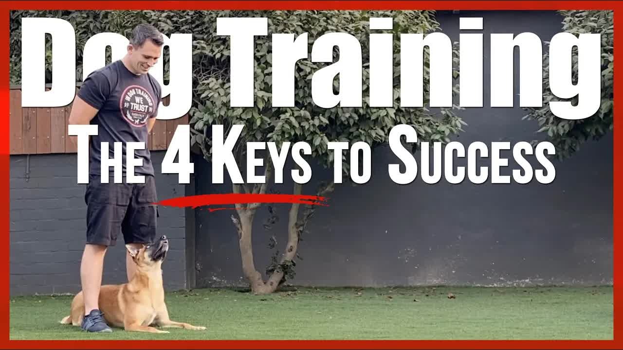 Why the science behind these four training keys transforms your dog's ...