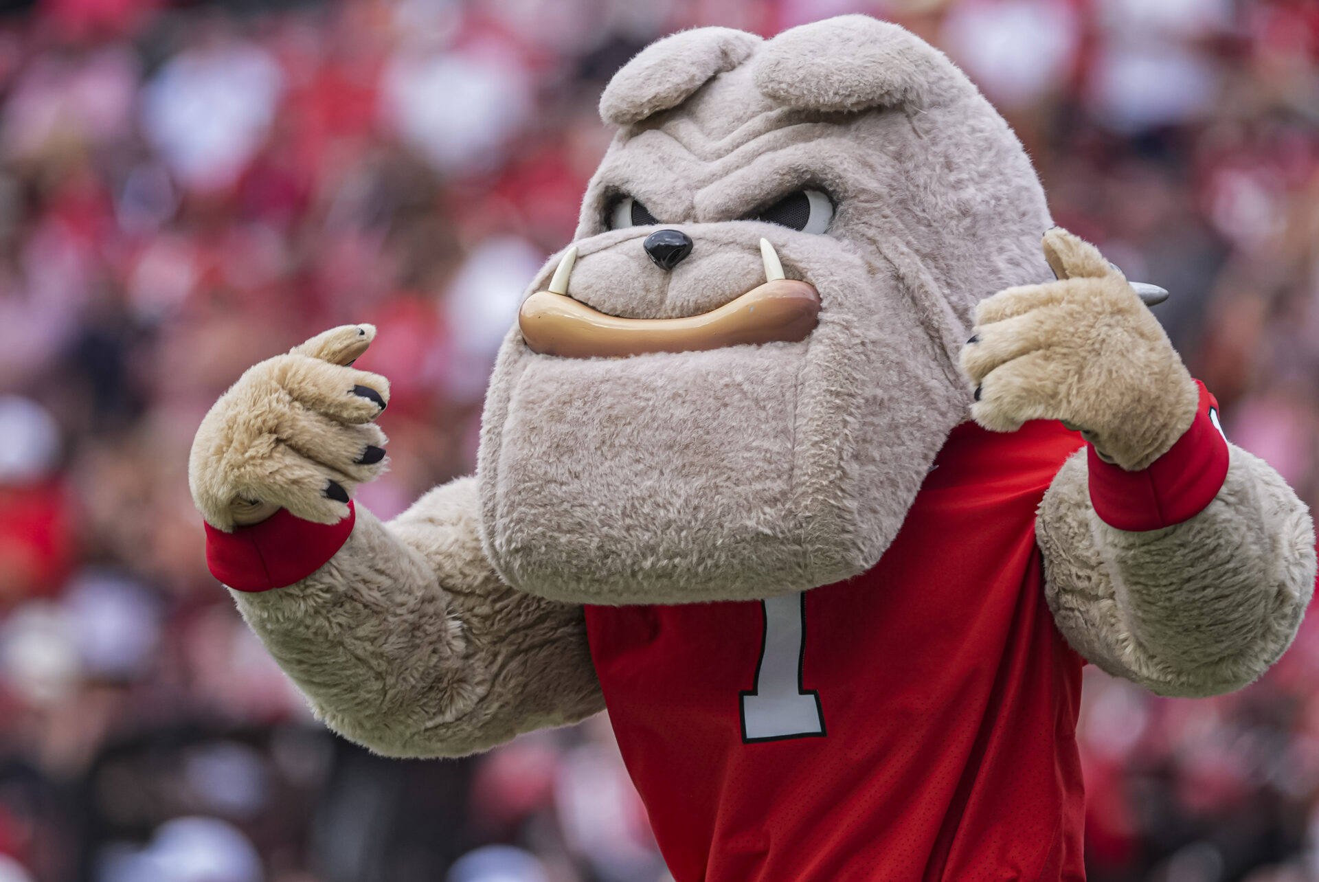 College football top 25 rankings 2026: AP Top 25 poll entering week 7