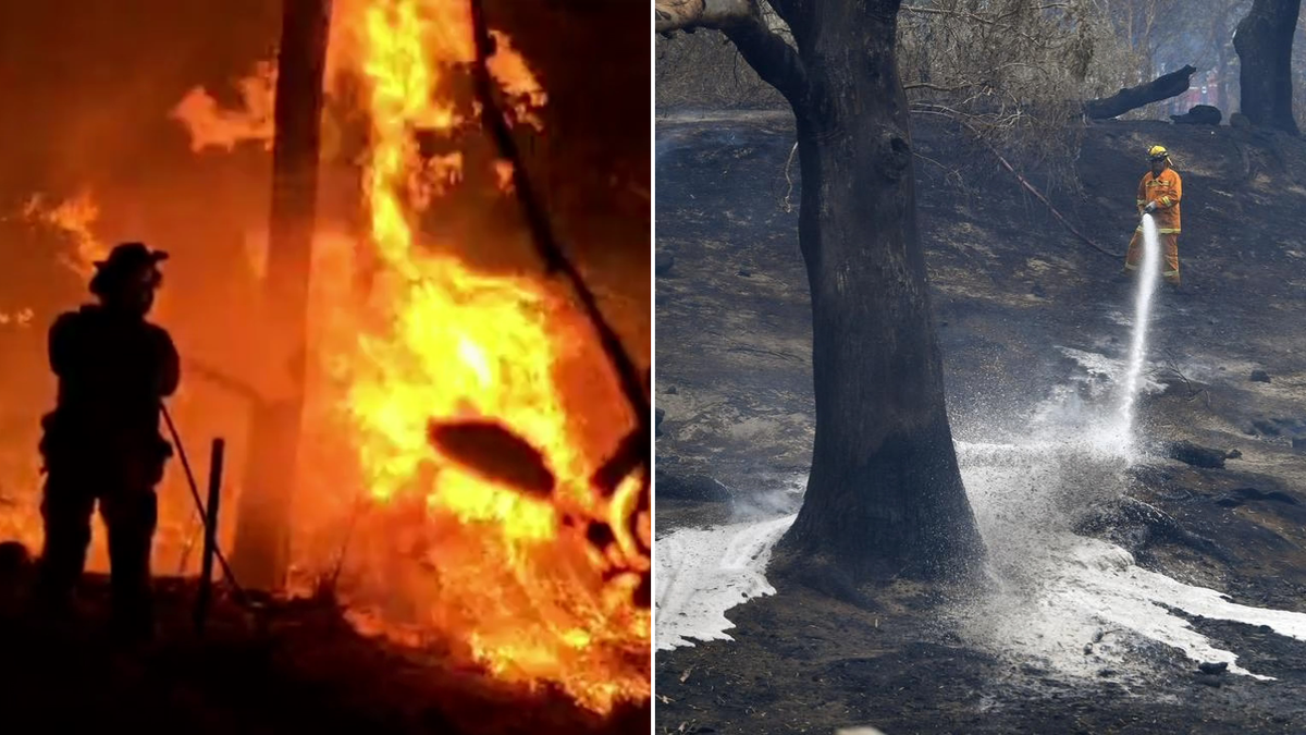Climate change not the only blame for bushfire crisis as new research ...