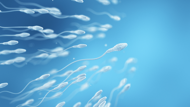 Can it affect male fertility?