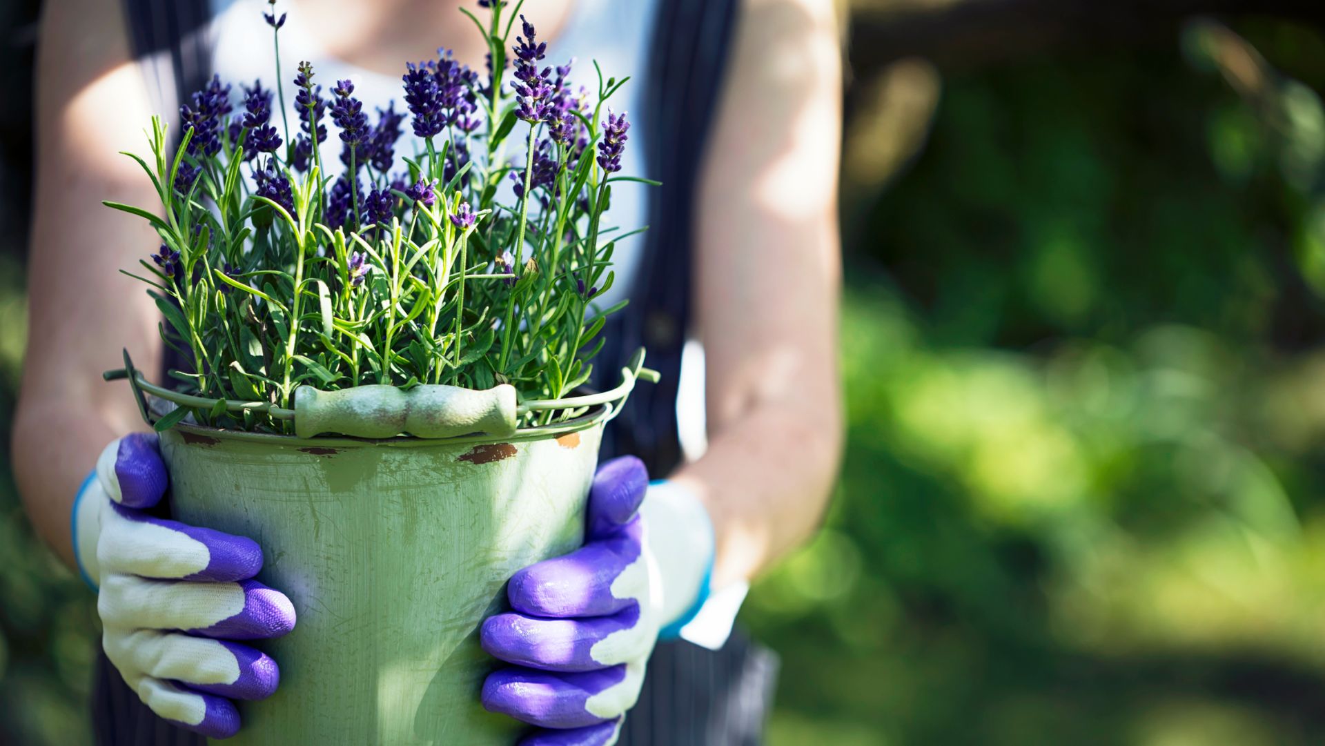 5 plants you can propagate so easily with a cutting in October, even if ...