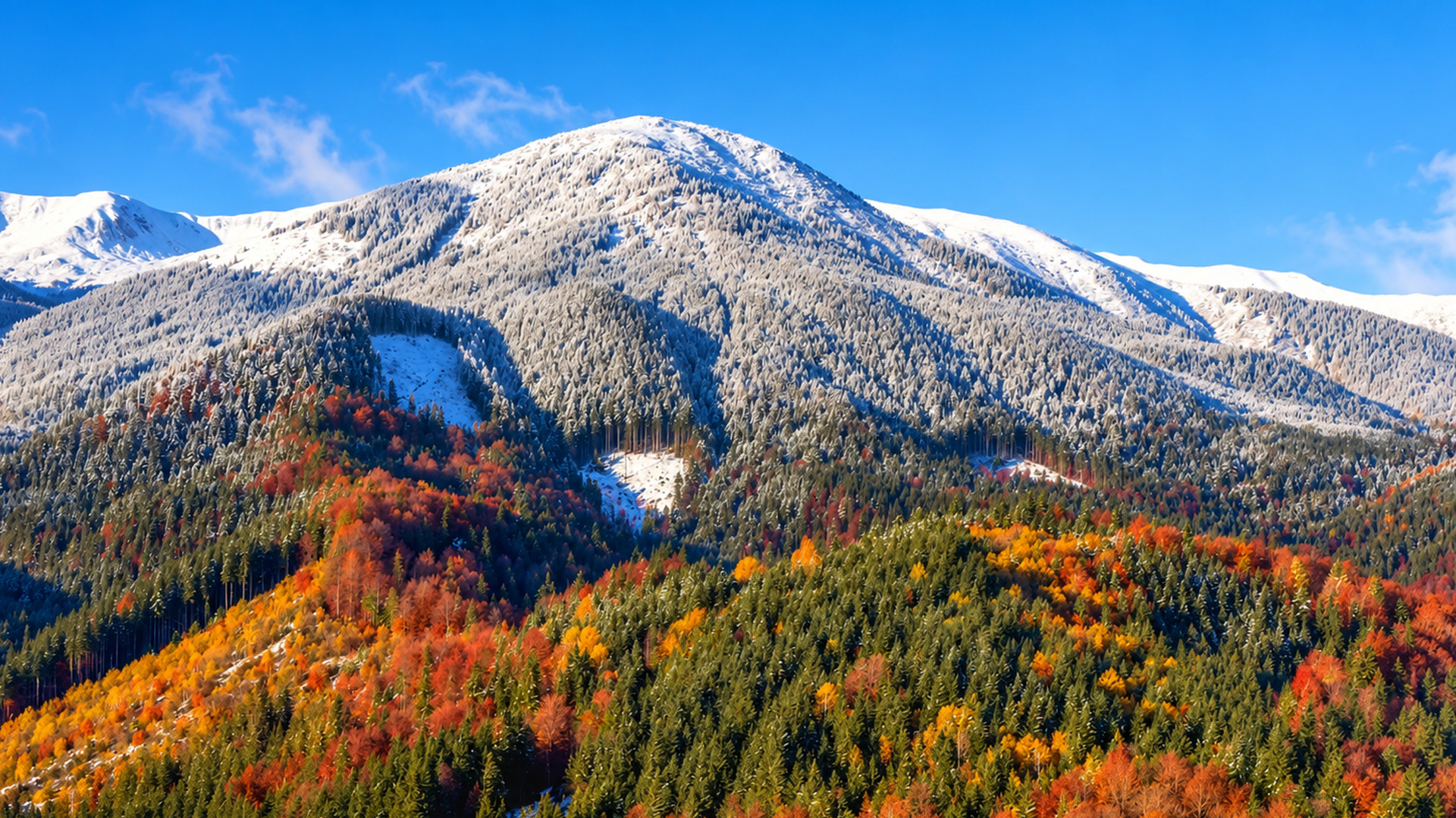 A mountain divided between snow and colorful trees