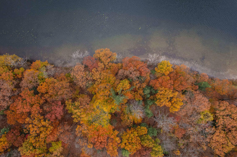 Catch fall colors on display at 2 free Kalamazoo County events