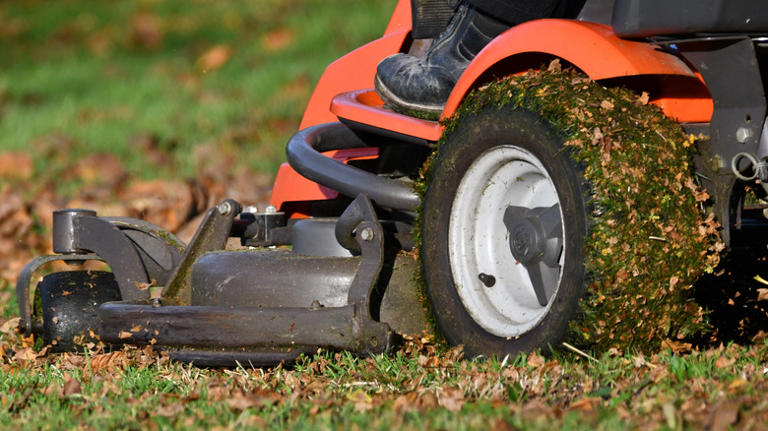 Should you set your lawn mower higher or lower in the fall?