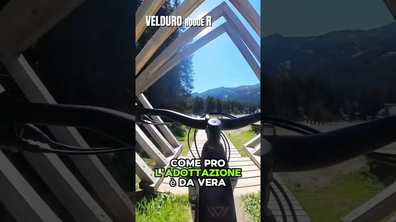 Velduro Rogue R a €9.999: Avinox M2S, FOX Factory e SRAM Maven. Una ...
