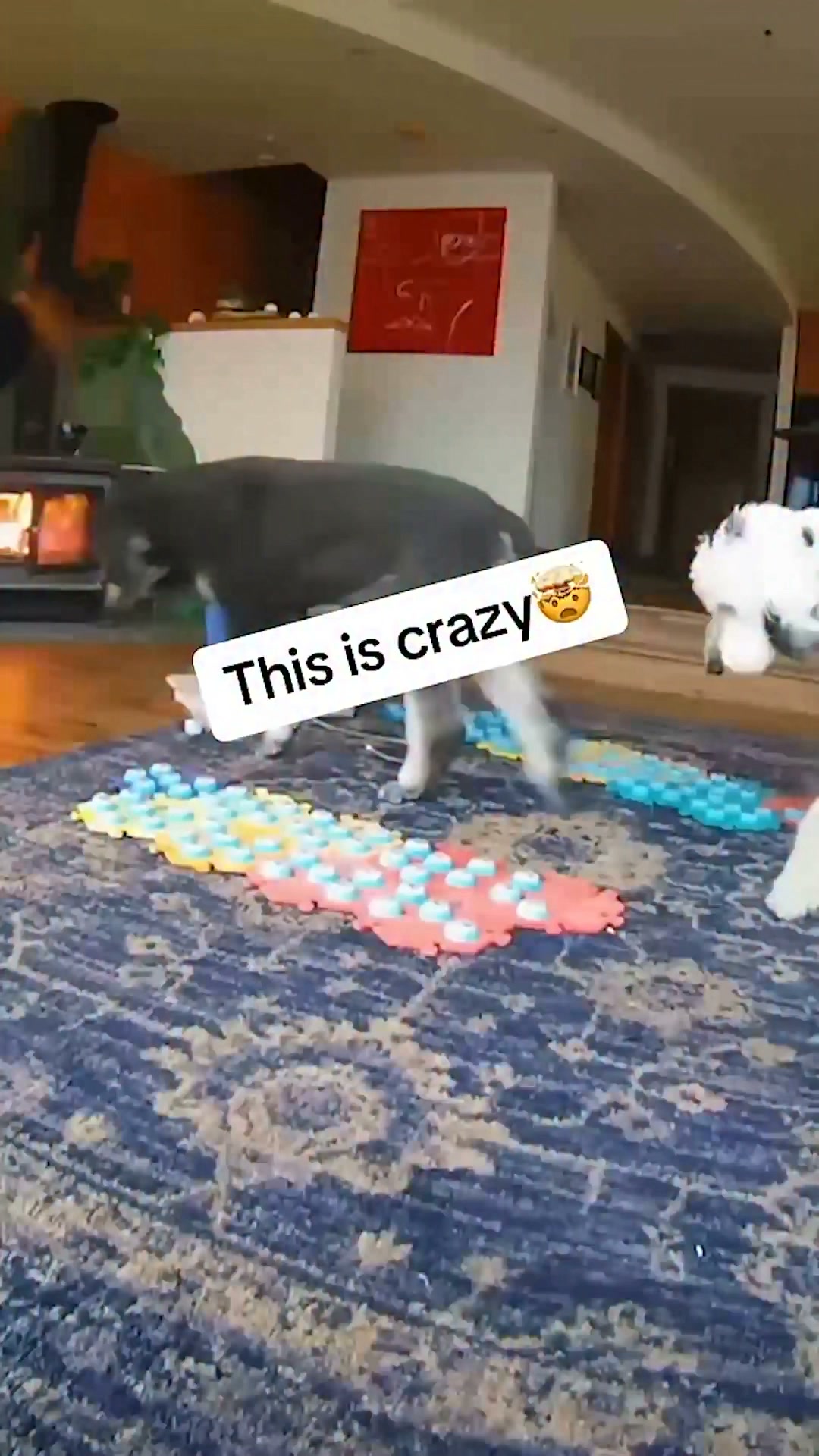 More moments featuring Bunny and John