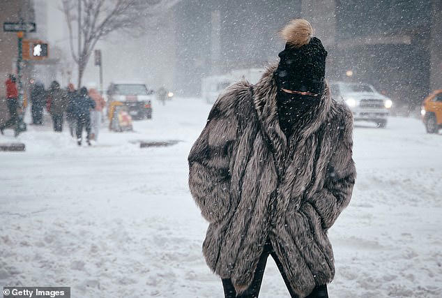 Millions face 'winter storm battleground' as new models predict heavy ...