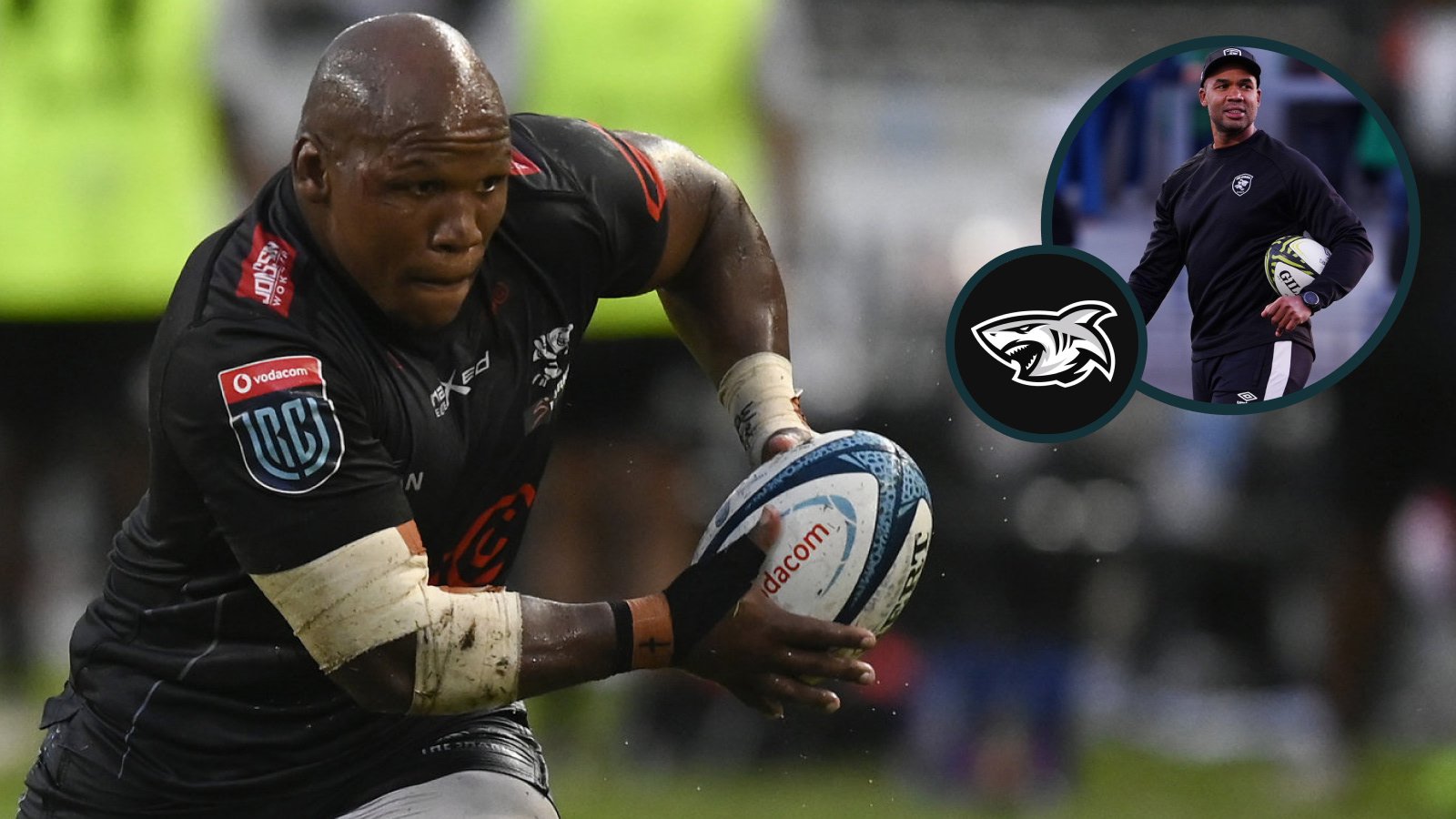 Springboks’ double World Cup winner in trouble at the Sharks due to ill ...