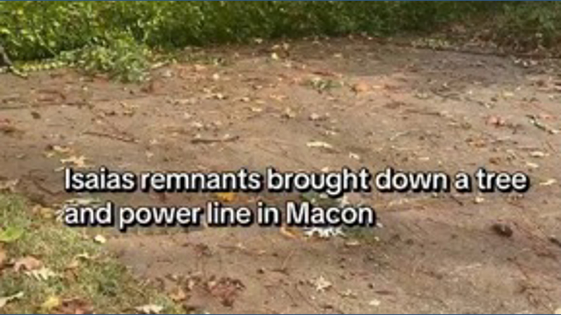Isaias remnants brought down a tree and power line in Macon as it ...