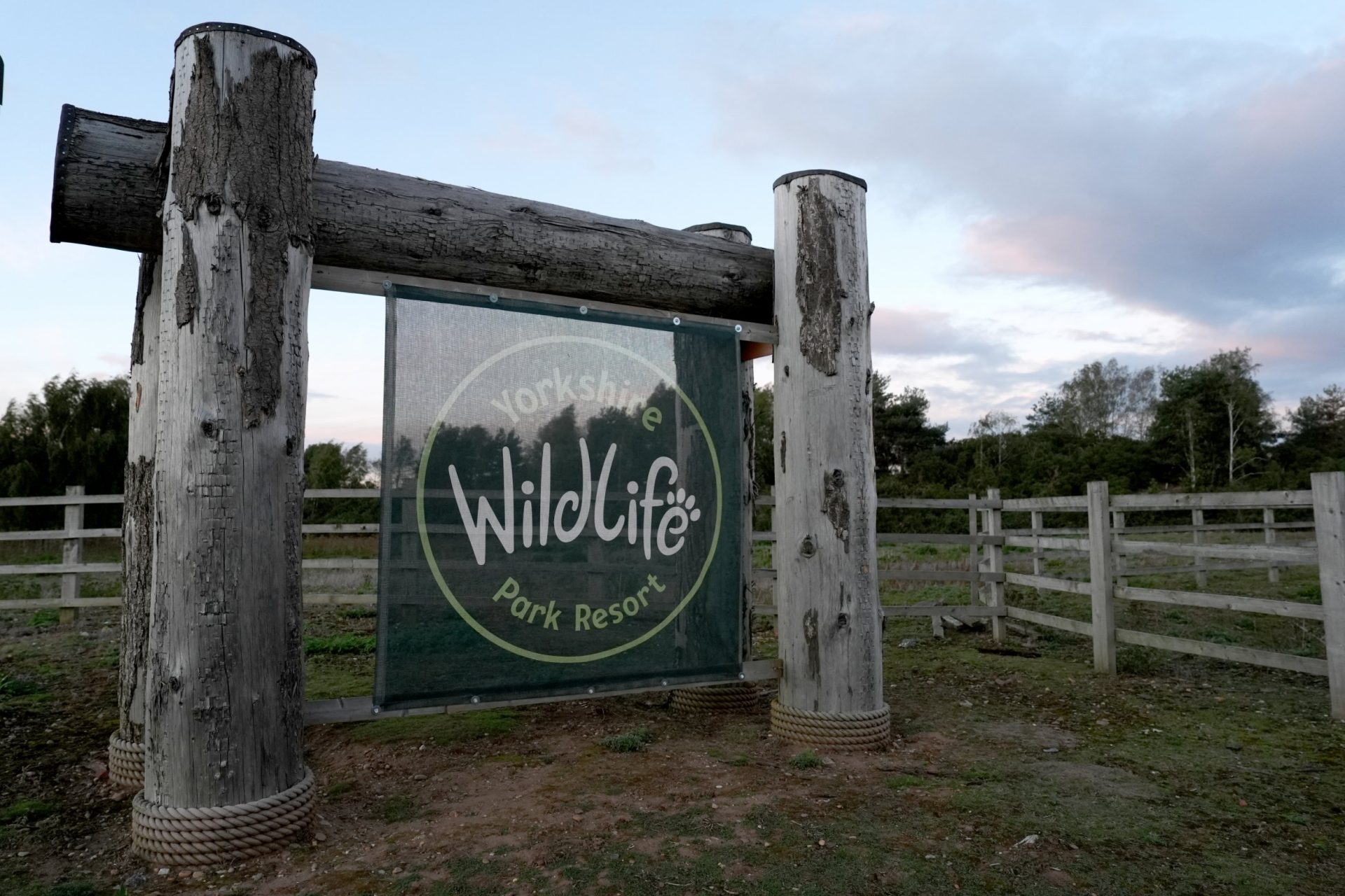 Man dies after tiger attack at Yorkshire zoo – everything we know so far
