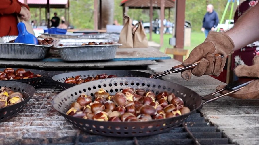 WV American Chestnut Festival celebrates 18th anniversary