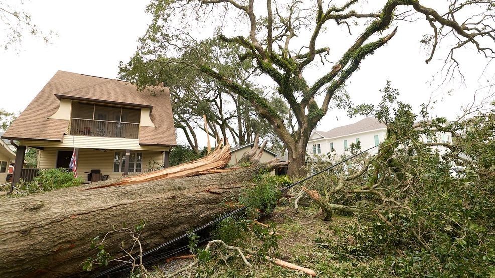 Northwest Florida counties to begin storm debris pickup on Wednesday