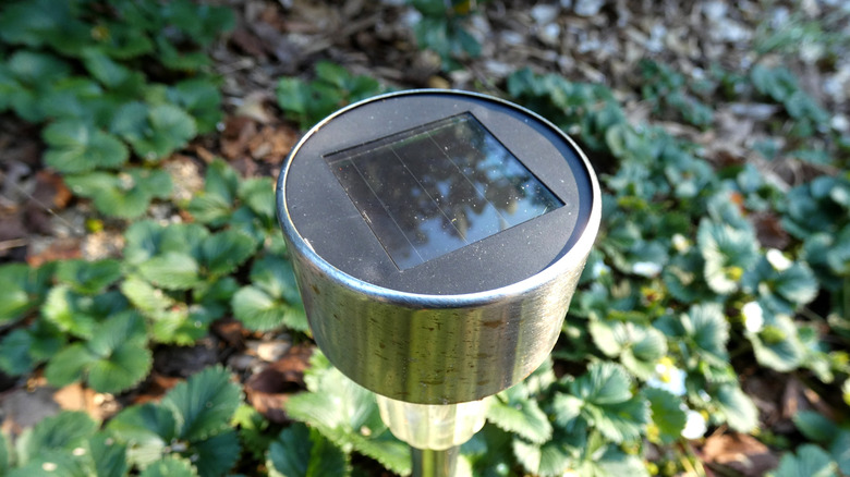 Woman uses Dollar Tree pencil holders to upgrade boring solar lights