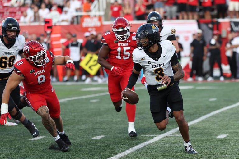 Could Idaho quarterback Joshua Wood be the answer for Washington State ...