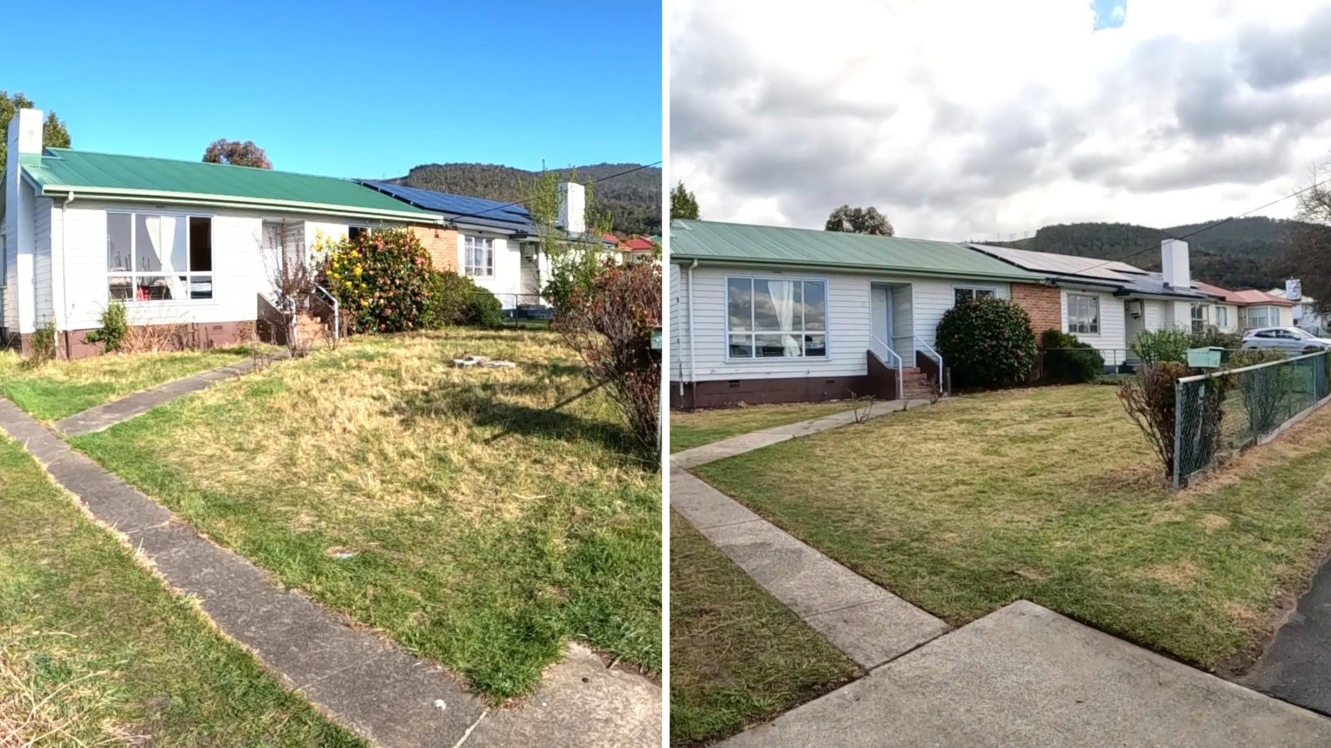 The surprising result of my free yard cleanup!