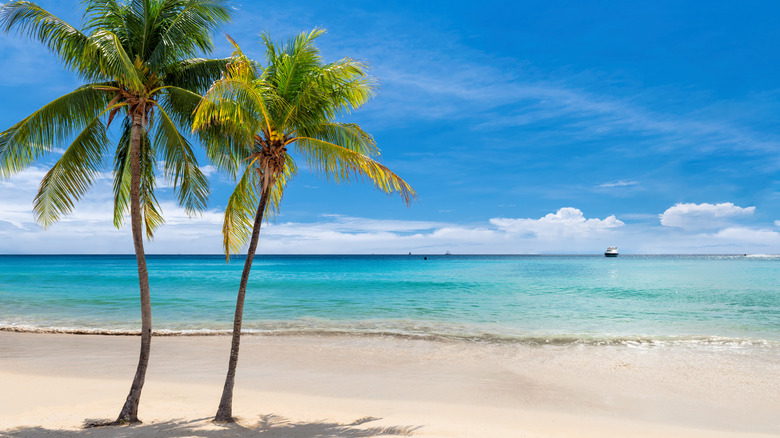 5 Caribbean restaurant rules American tourists break within the first ...