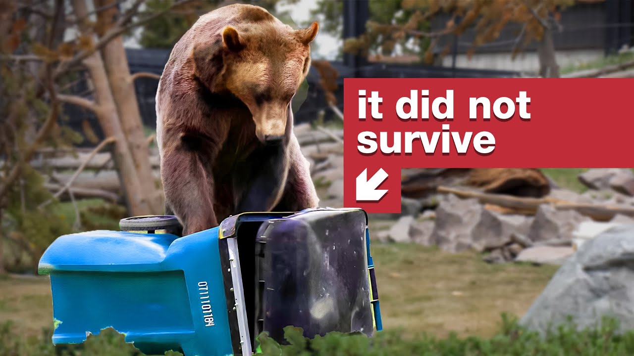 The secrets behind bear-resistant certification