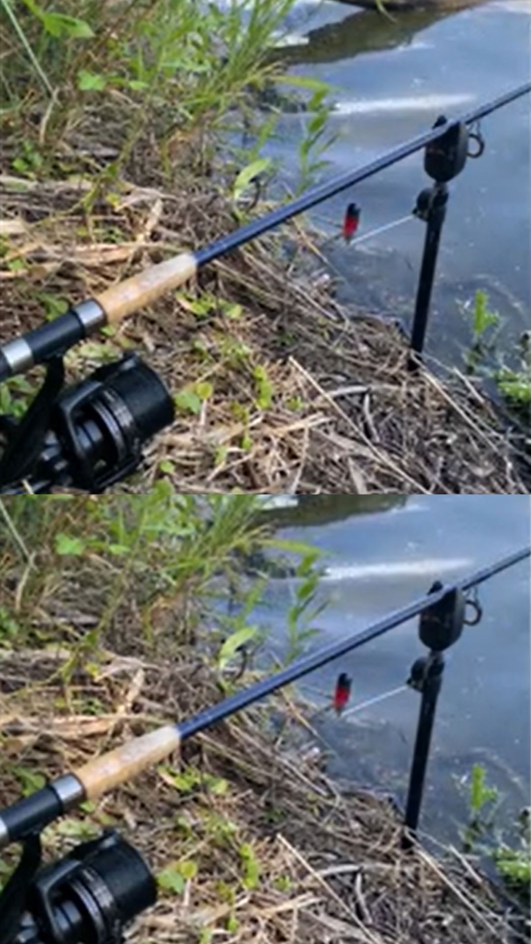Carp fishing adventures featuring my biggest successes