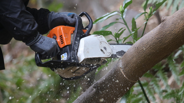 Quickly sharpen your chainsaw blade with an affordable Amazon kit that ...