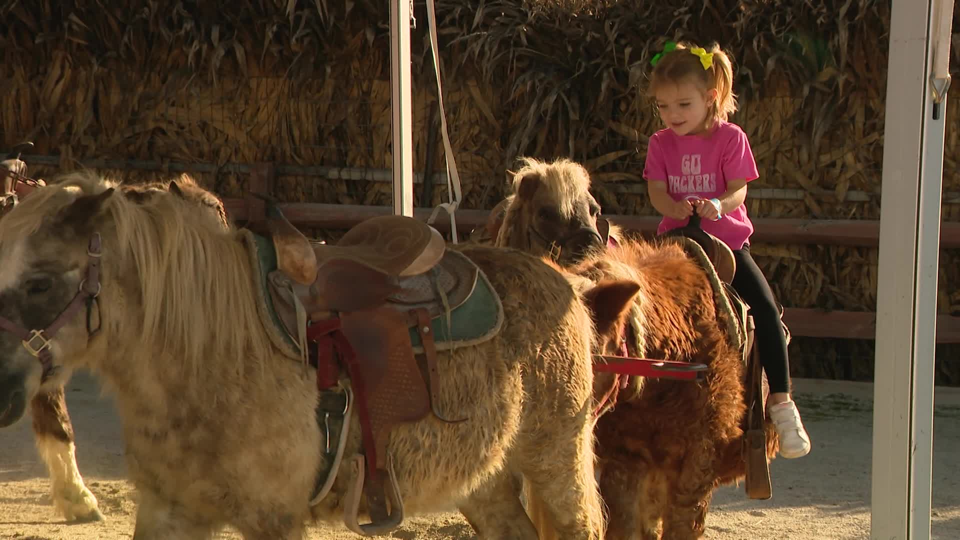Weekend break: Goebbert's Farm in South Barrington